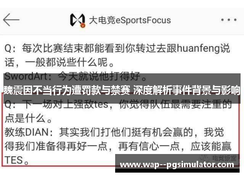 魏震因不当行为遭罚款与禁赛 深度解析事件背景与影响