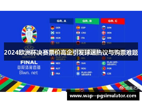 2024欧洲杯决赛票价高企引发球迷热议与购票难题