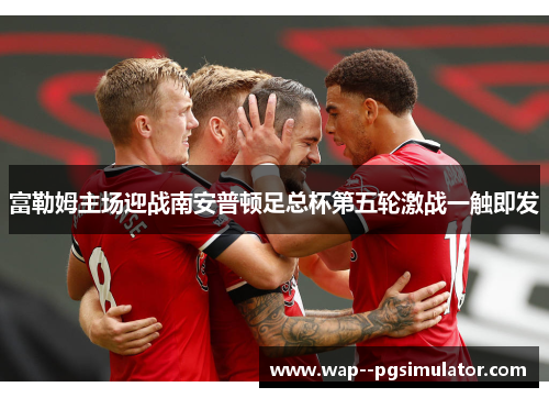 富勒姆主场迎战南安普顿足总杯第五轮激战一触即发